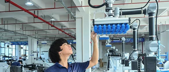 Deployed in just one hour, with no coding required! How is this “plug-and-play” palletiser helping traditional factories turn the tide?